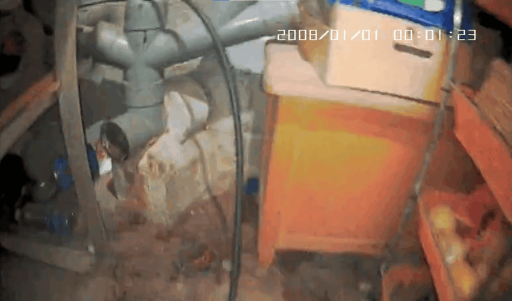 Déracinage Marquis Multiservices