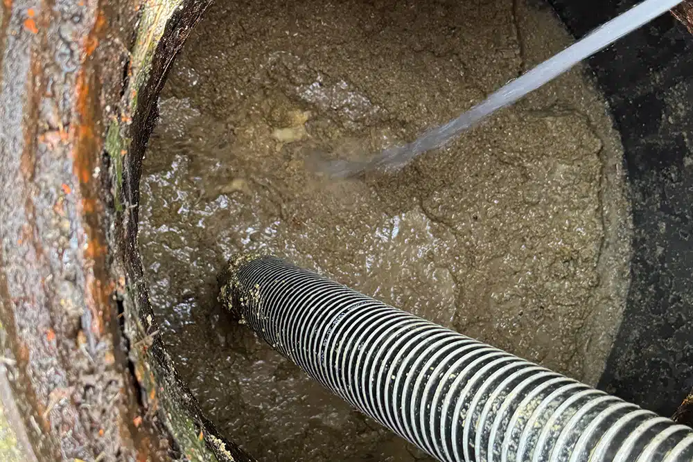 marquis multiservices vidange bac à graisse fréquence entretien