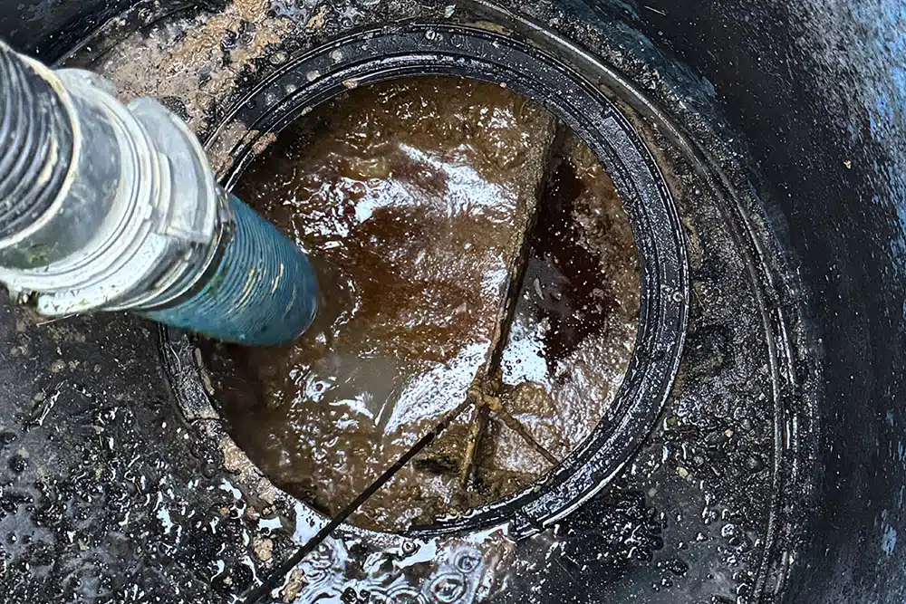 marquis multiservices vidange bac à graisse utilité bac à graisse